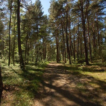 M&K Apartamenty - Morska Bryza, Sobieszewo- Wyspa Sobieszewwska Γκντανσκ Εξωτερικό φωτογραφία